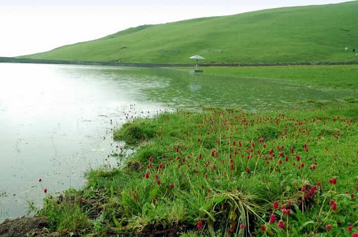 beautiful-dayara-bugyal