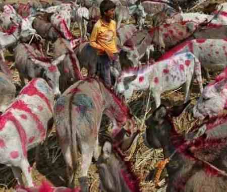 Gujarat's Vautha Fair