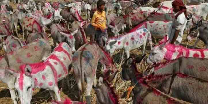 Gujarat's Vautha Fair