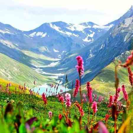 Valley of Flowers