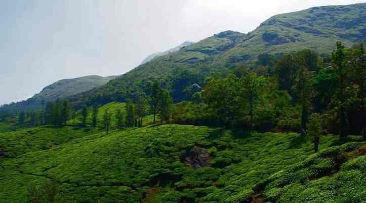 Kalpetta, Wayanad