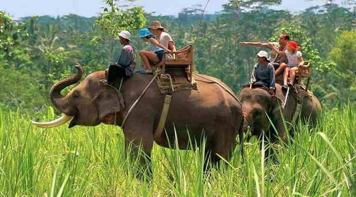 Corbett National Park