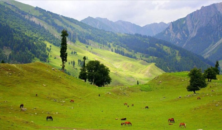 Sonamarg hill station